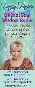 Animal Soul Wisdom Radio: Tapping into the Wisdom of Our Animals, Angels and Masters with Darcy Pariso