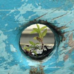 SherrieClark-CouragetoBeSeen-ThrivingInUnprecedentedTimesByImprovingYourResiliency