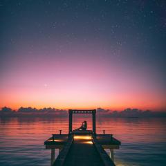 Empowerment Radio with Dr. Friedemann Schaub: Reclaim your life with Zero Frequency with Mabel Katz