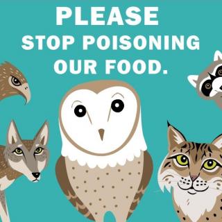 Love and Lightning with Nicole Pelham: First Comes Love, Then Comes Lightning: Predator over Poison! How to keep pests under control without killing everything around us