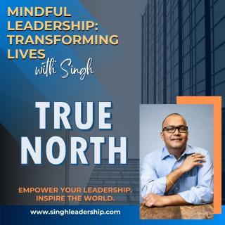 Mindful Leadership: Transforming Lives with Singh - Empower Your Leadership. Inspire the World.: True North: Navigating Leadership with Clarity and Confidence