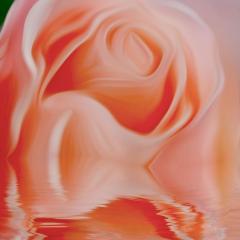 Quantum-Touch® Radio with Jennifer Noel Taylor: Supercharging Your Life!: Interview with Denise Willinger