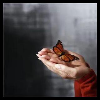 The Becoming You Show with Leah Roling: 146.  Are you Healing or Hiding? 