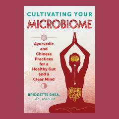 The Dr. Pat Show: Talk Radio to Thrive By!: Cultivating Your Microbiome: Ayurvedic and Chinese Practices for a Healthy Gut and a Clear Mind with Bridgette Shea