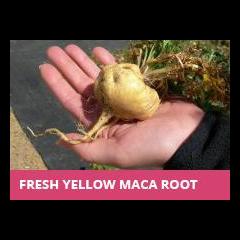 The Dr. Pat Show: Talk Radio to Thrive By!: How Peruvian Maca Works for Increased Stamina, Athletic Endurance, & Energy with Maca Expert Mark Ament