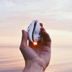 jason and patricia rohn - living lighter