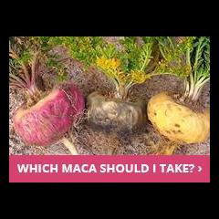 The Dr. Pat Show: Talk Radio to Thrive By!: What Are the Benefits of Maca for Women with Mark Ament