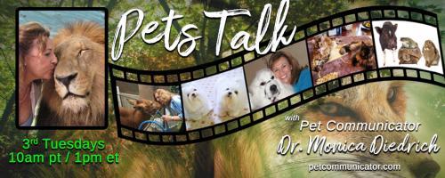 The Pet Communicator Show with Dr. Monica Diedrich: Are all animals the same?